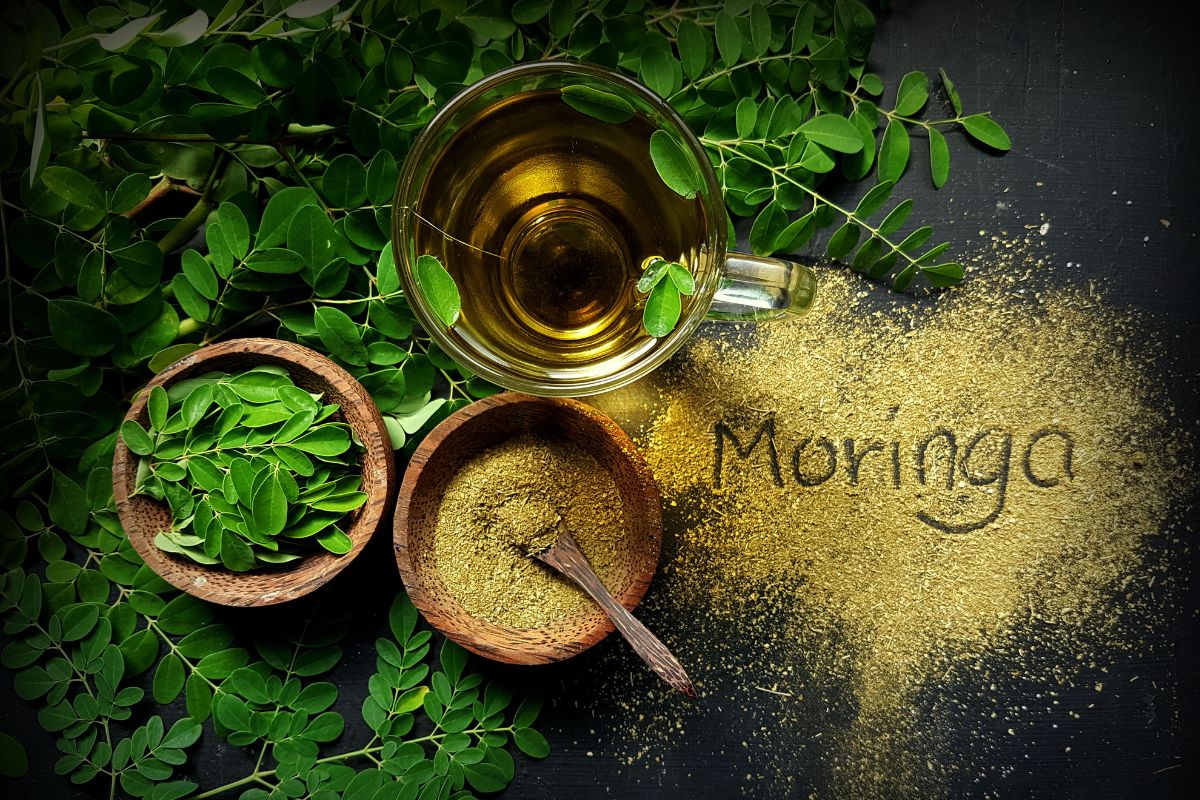 Beneficios y usos de la moringa.